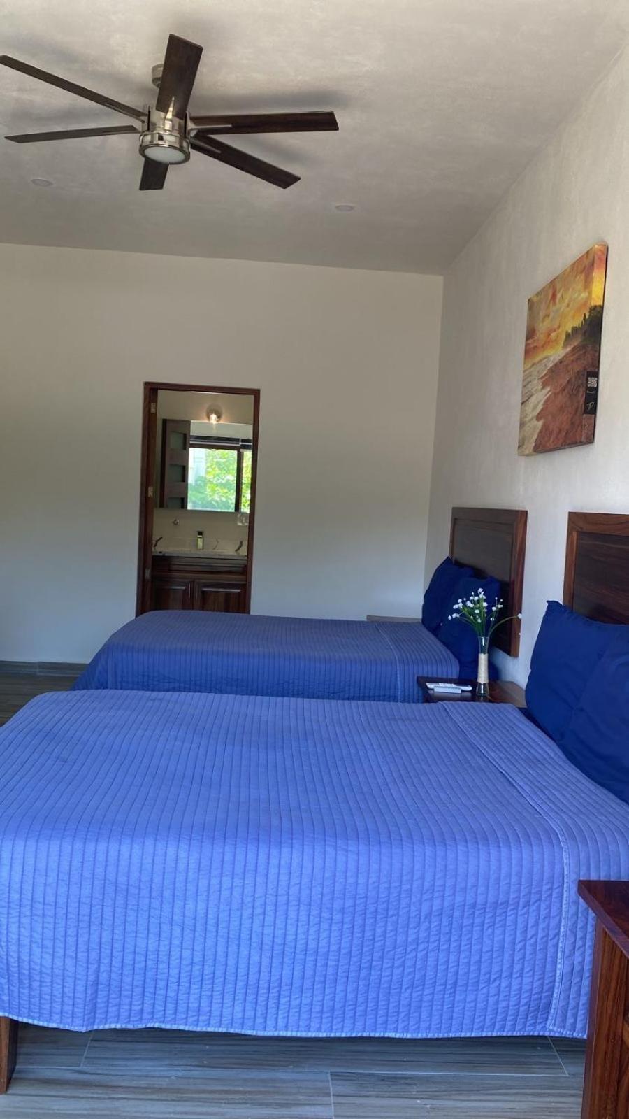 San Pancho Bungalows سان فرانسيسكو المظهر الخارجي الصورة